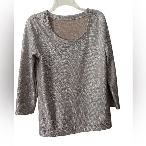 Sparkly Silver Top - Picture 1 of 2